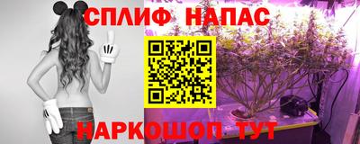 МДПВ Аша