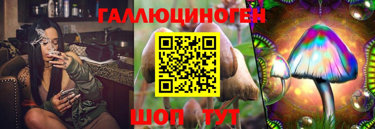 Псилоцибиновые грибы ЛСД Курчатов